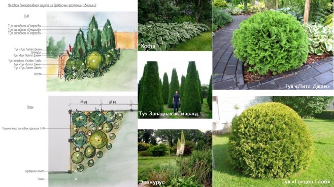 Ландшафтный дизайн. Базовый курс – работы студентов - 1